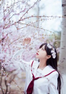 血色湘西演员表所有_BD韩语在线手机播放